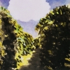 4.Orchard and a White Cloud, 1984